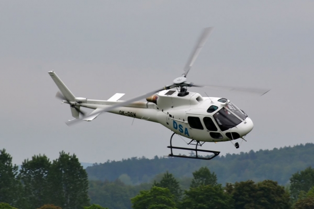  Im Flug 